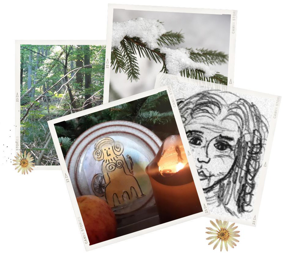 HolleDesignelementBilder